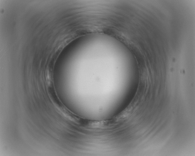 X0000074930084200609291808