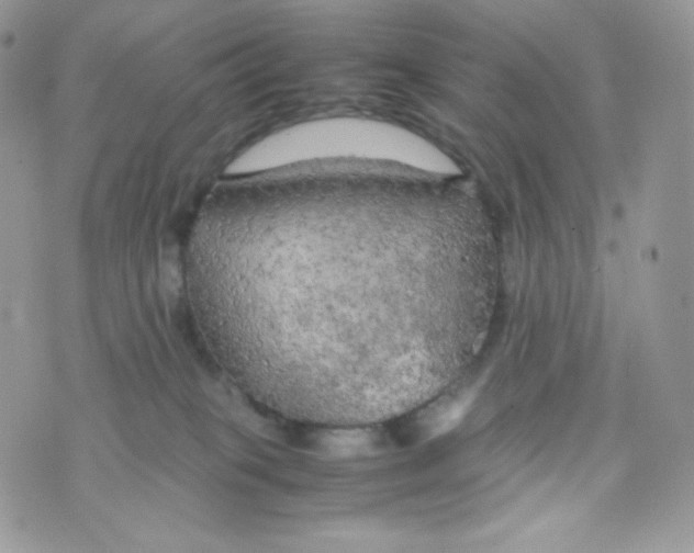 X0000074930085200609291808