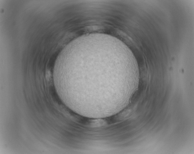 X0000074930087200609291808