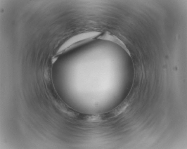 X0000074930088200609291808