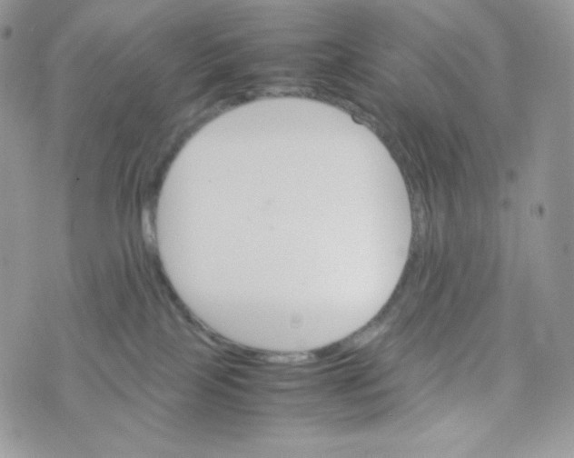 X0000074930089200609291808