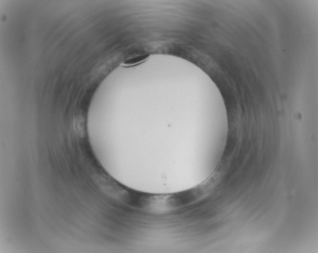 X0000074930090200609291808