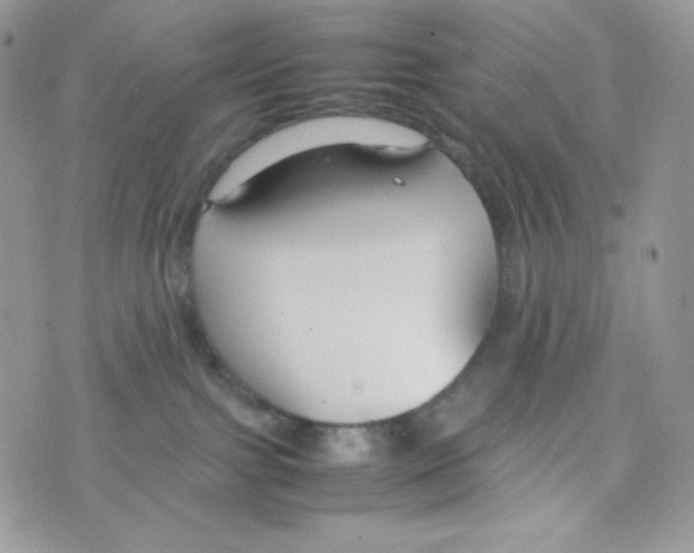 X0000074930091200609291808