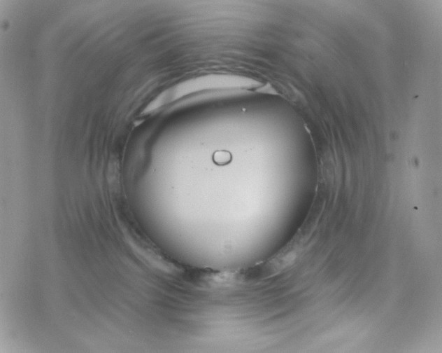 X0000074930092200609291808