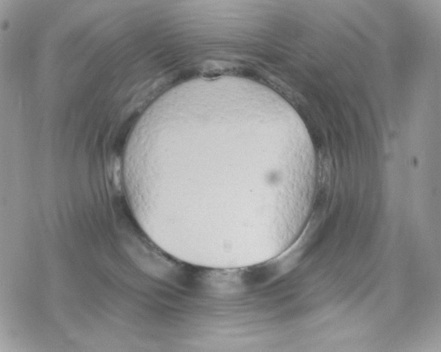 X0000074930094200609291808