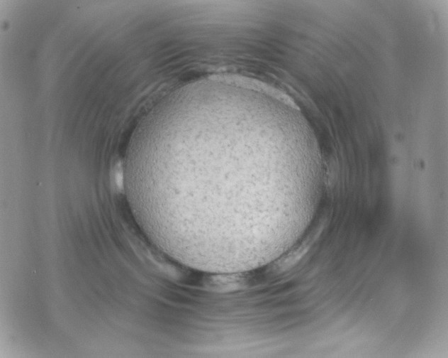 X0000074930095200609291808