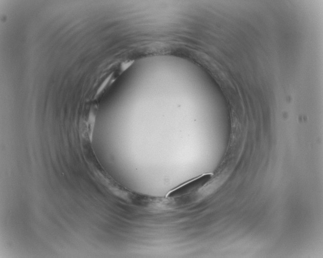 X0000074930096200609291808