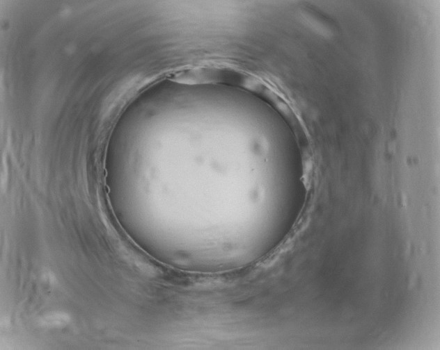 X0000074930097200609291807