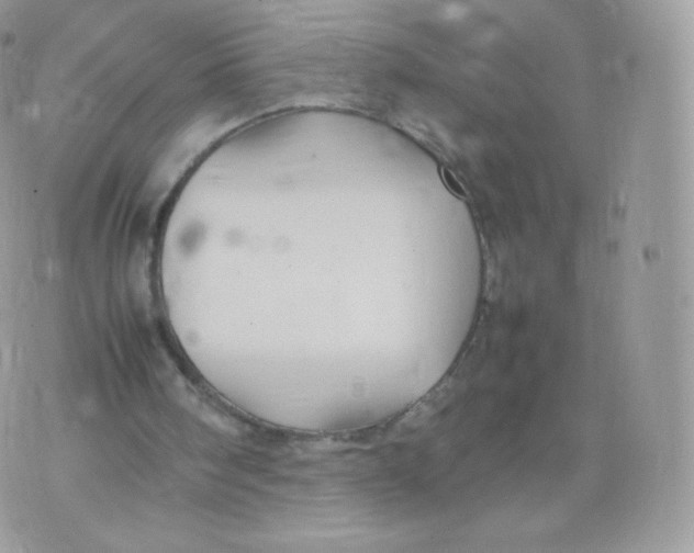 X0000074930098200609291807