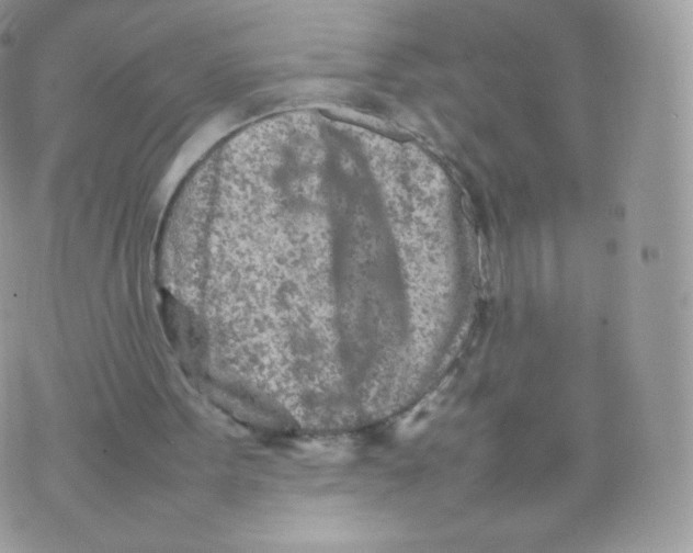 X0000074930099200609291807