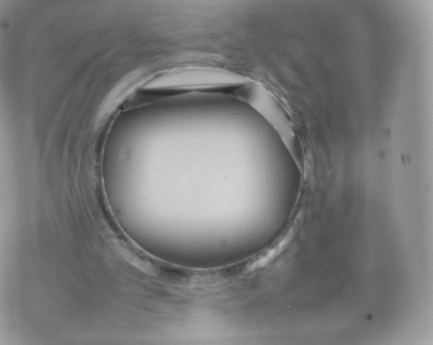 X0000074930101200609291807