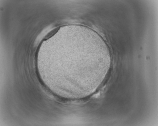 X0000074930103200609291807