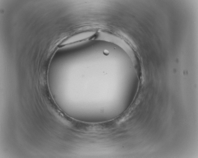 X0000074930105200609291807