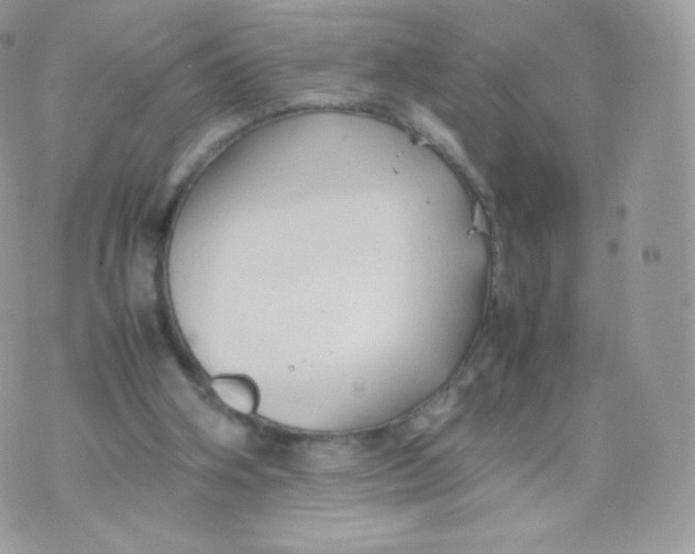 X0000074930106200609291807