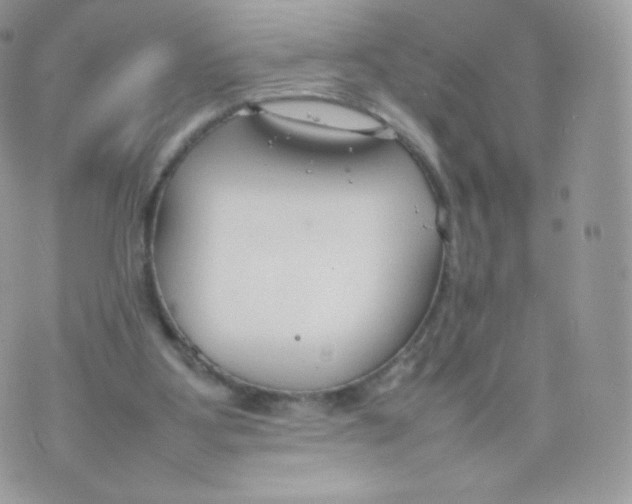 X0000074930107200609291807