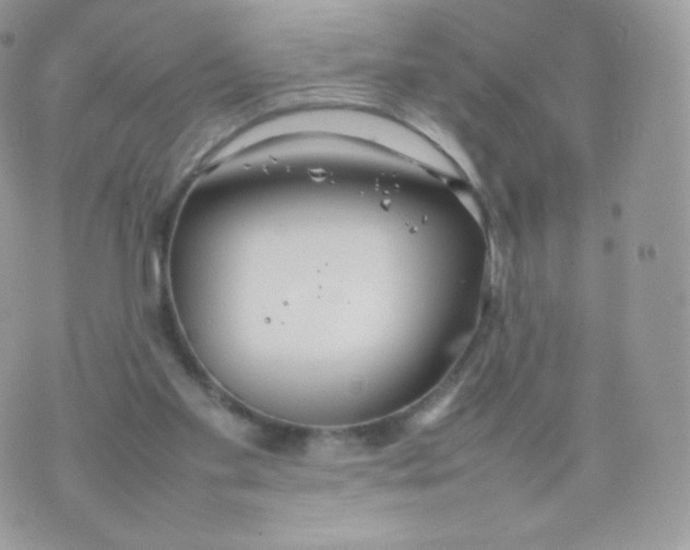 X0000074930109200609291807