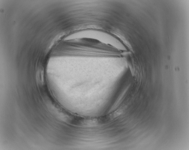 X0000074930110200609291807