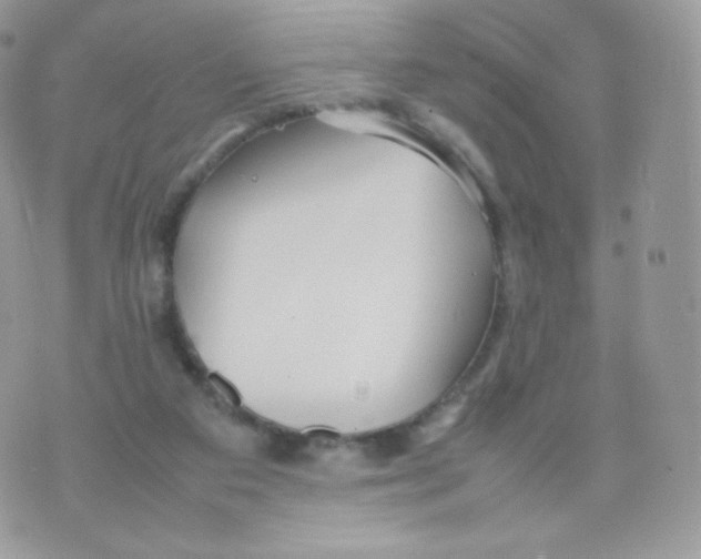 X0000074930113200609291807