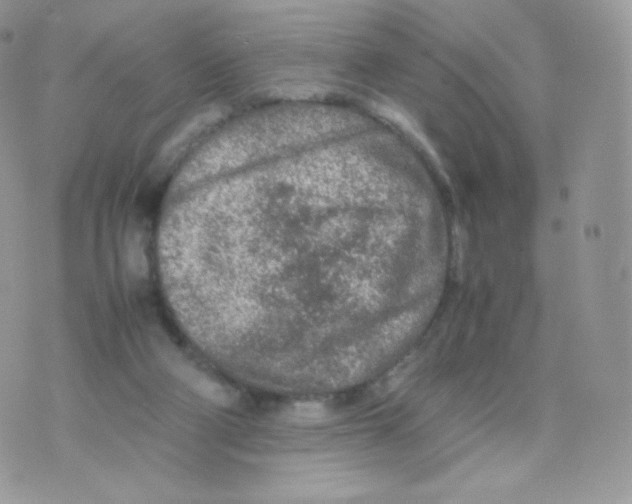 X0000074930114200609291807