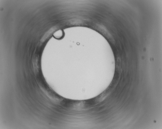 X0000074930116200609291807