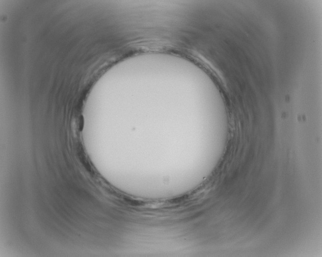 X0000074930117200609291807