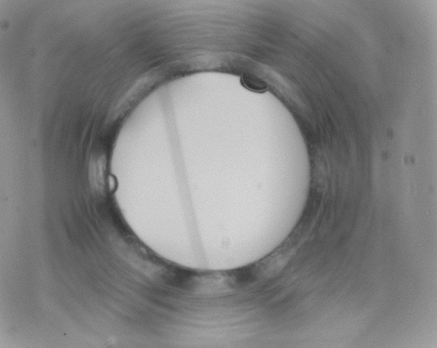 X0000074930118200609291807