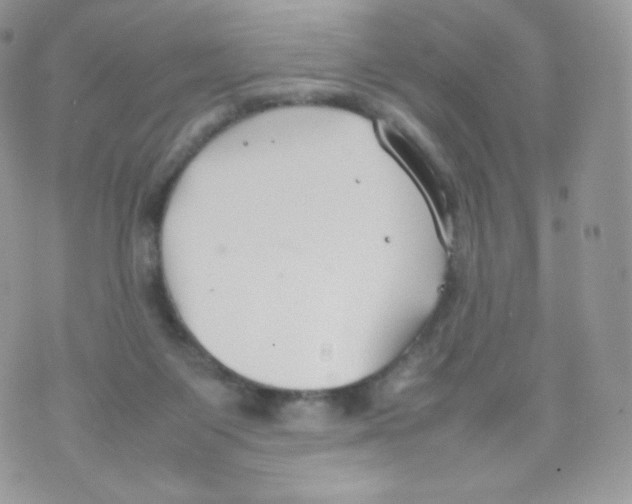 X0000074930119200609291807