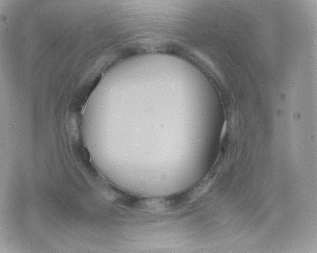 X0000074930121200609291807