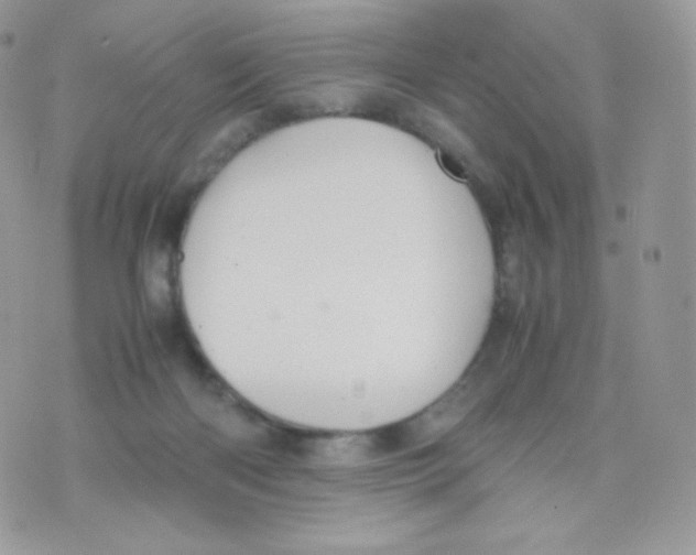 X0000074930122200609291807