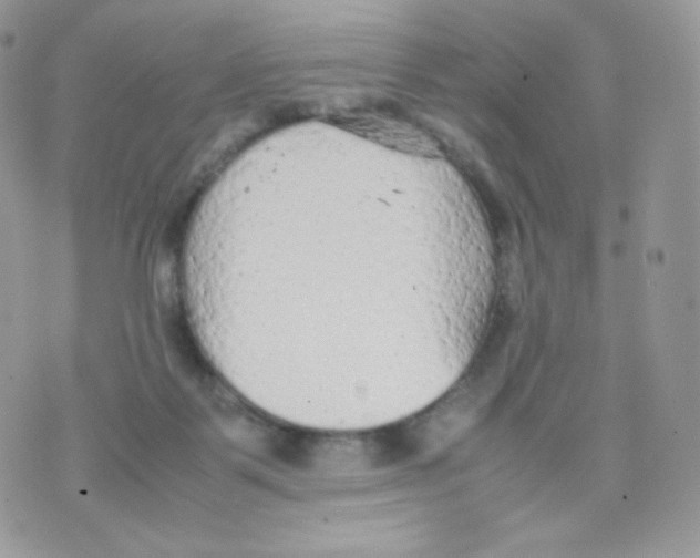 X0000074930123200609291807