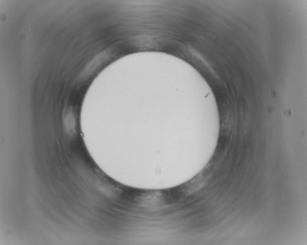 X0000074930124200609291807