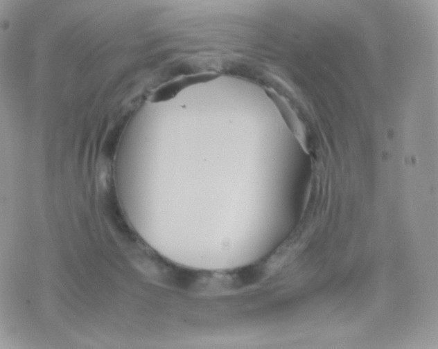 X0000074930125200609291807