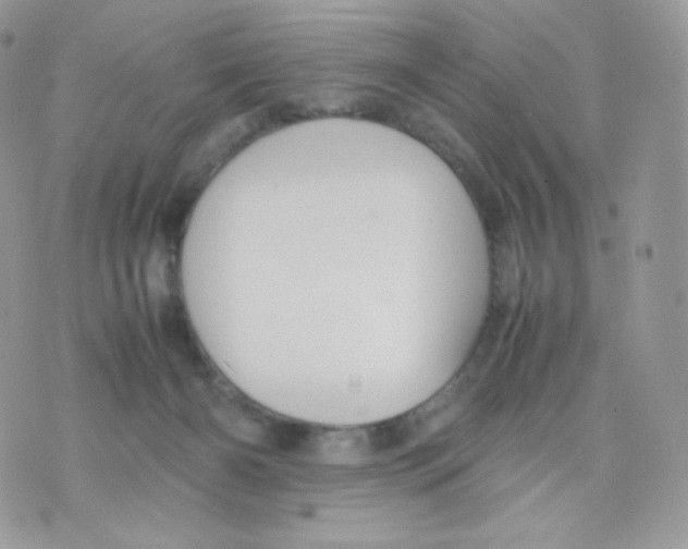 X0000074930126200609291807