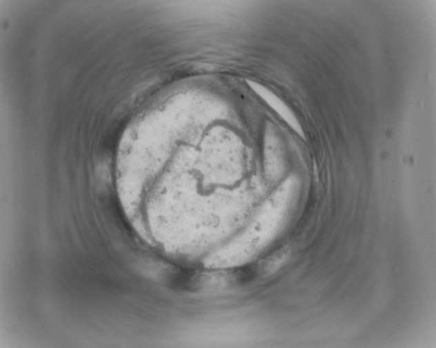 X0000074930127200609291807