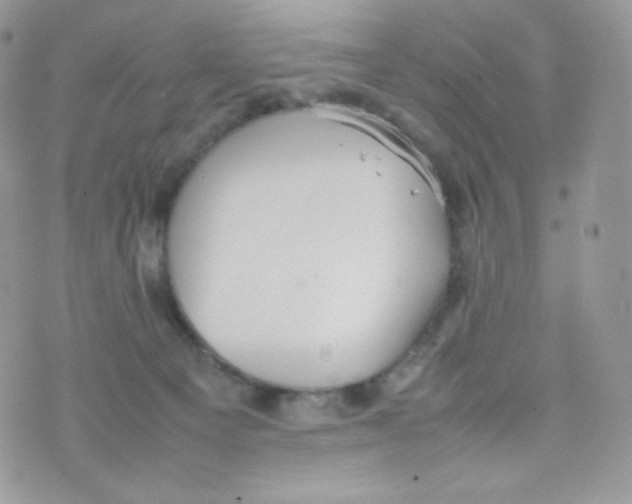 X0000074930129200609291807