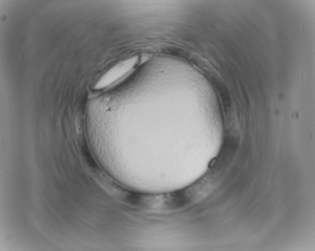 X0000074930131200609291807