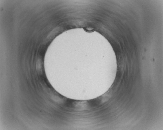 X0000074930132200609291807