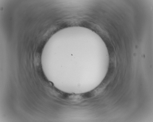 X0000074930133200609291807