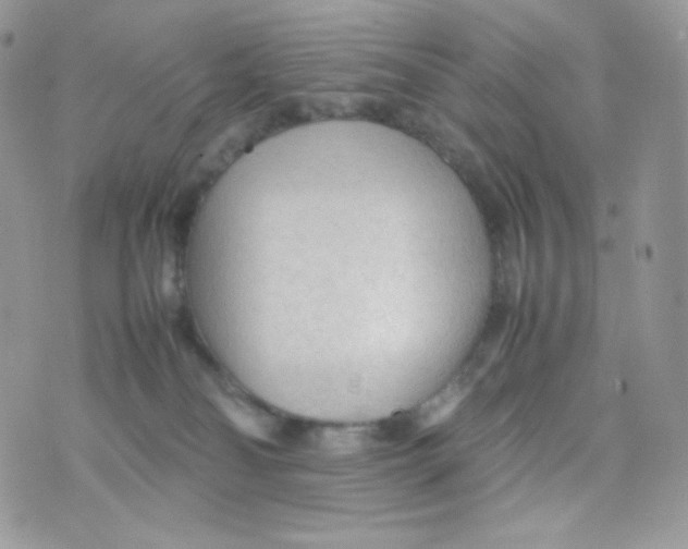 X0000074930134200609291807