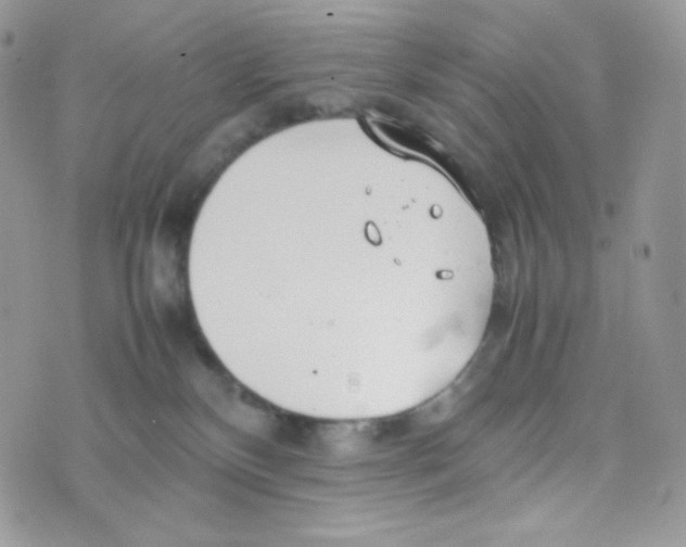 X0000074930136200609291807