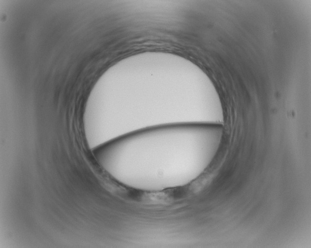 X0000074930137200609291806