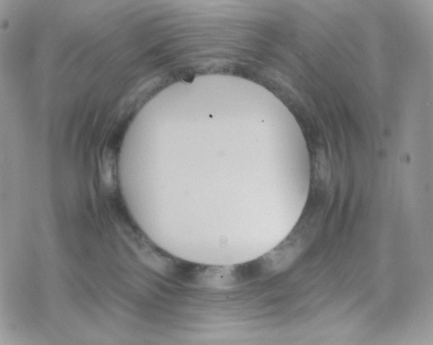 X0000074930138200609291806