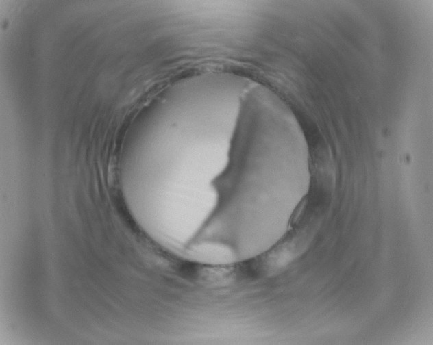 X0000074930139200609291806