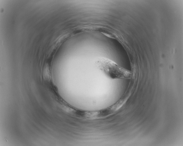 X0000074930143200609291806