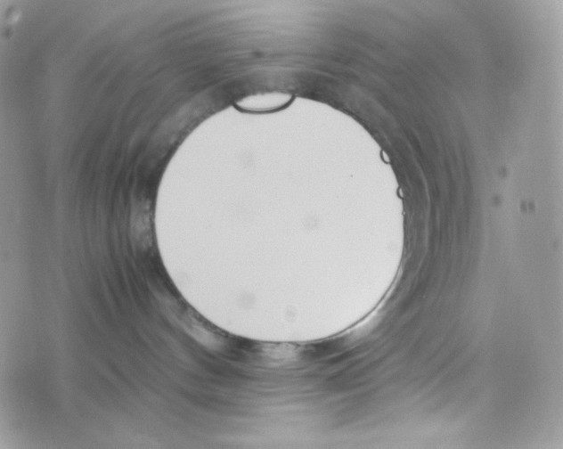 X0000074930144200609291806