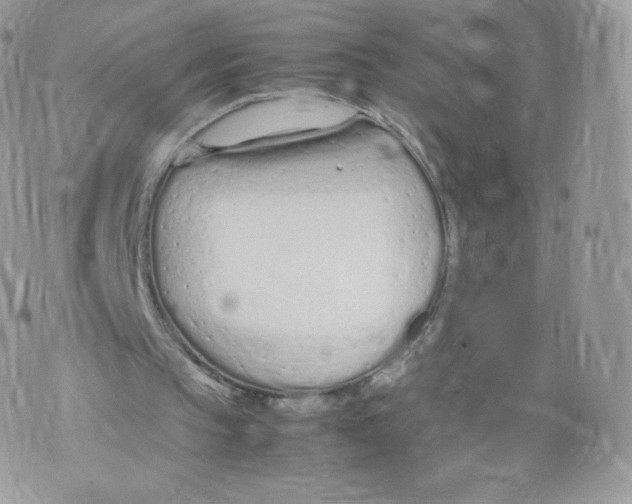 X0000074930145200609291806