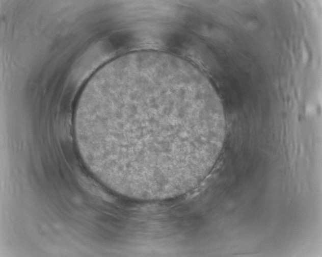 X0000074930146200609291806