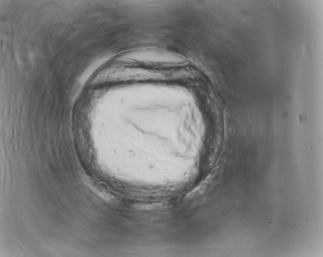 X0000074930147200609291806