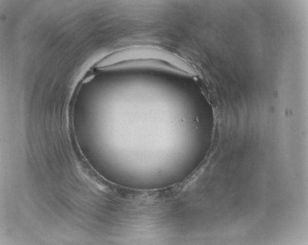 X0000074930148200609291806