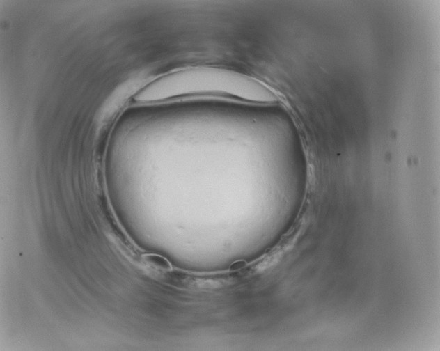 X0000074930149200609291806